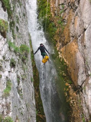 Joli saut